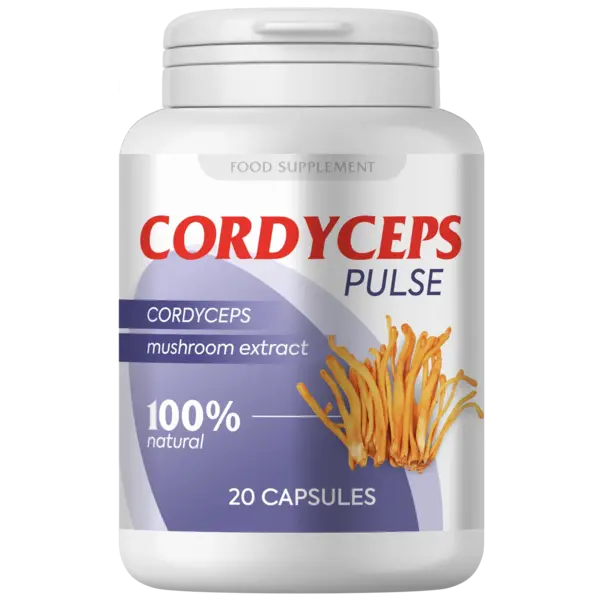 Cordyceps pulse Kapseln 20 St