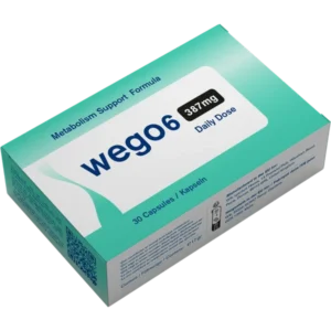 WEGO6